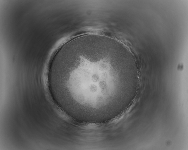 X0000102830149200808181332