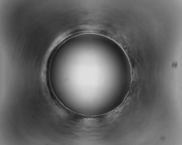 X0000102830150200808181332