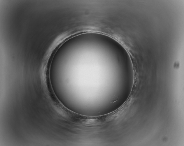 X0000102830151200808181332