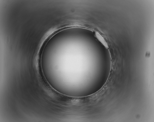 X0000102830152200808181332