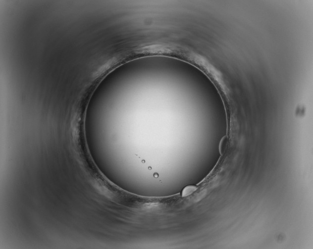 X0000102830153200808181332