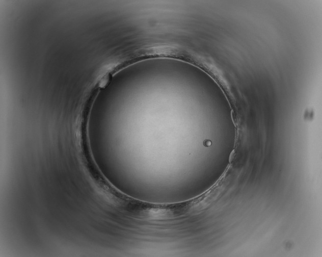 X0000102830154200808181332