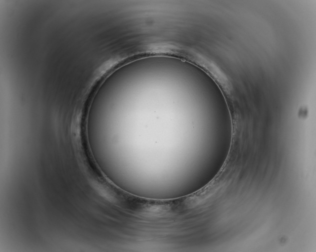 X0000102830155200808181332