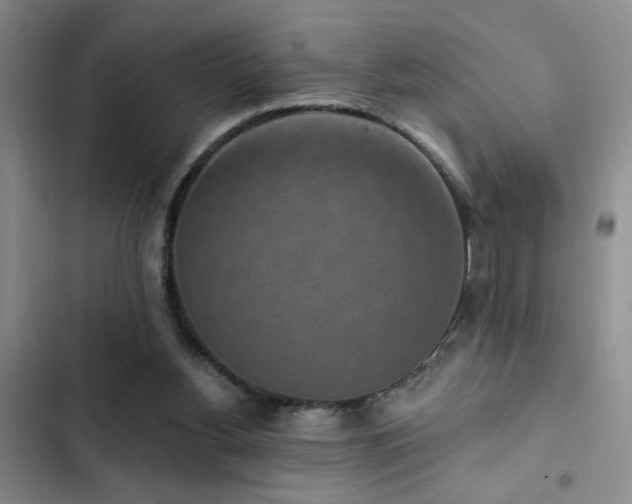 X0000102830156200808181332