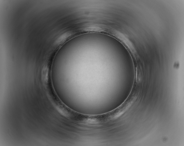 X0000102830157200808181332