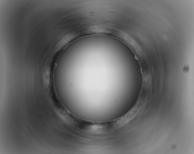 X0000102830158200808181332