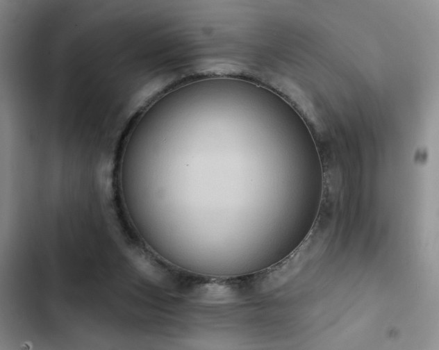 X0000102830159200808181332