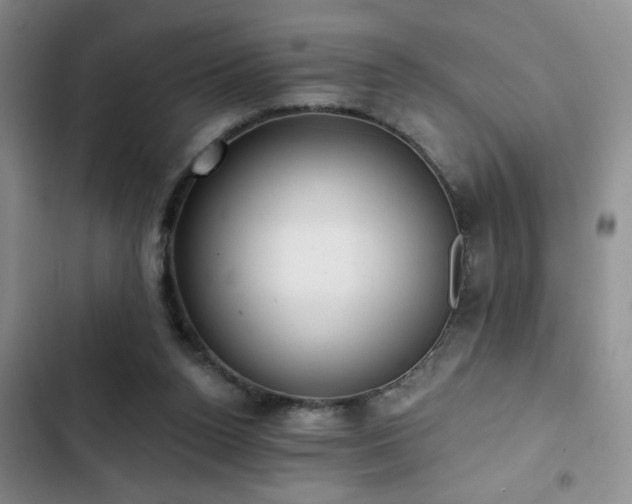 X0000102830160200808181332