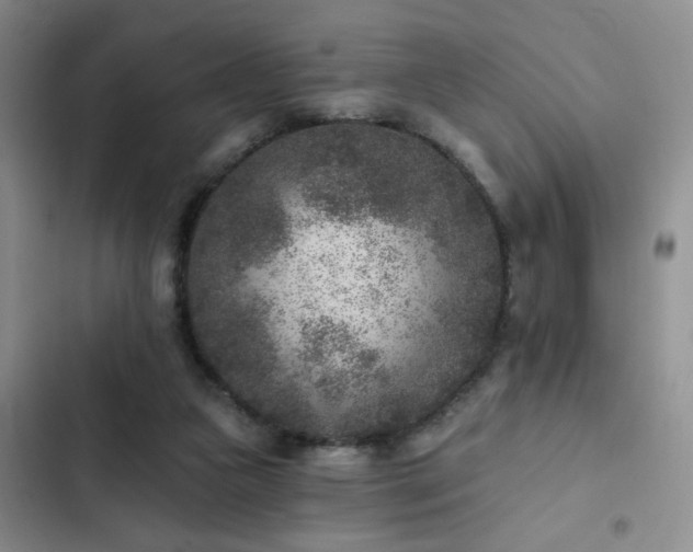 X0000102830161200808181332