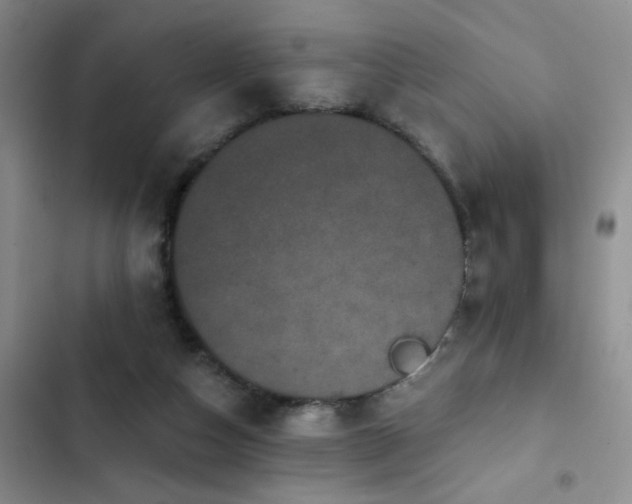 X0000102830162200808181332