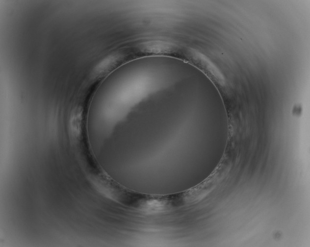 X0000102830163200808181332