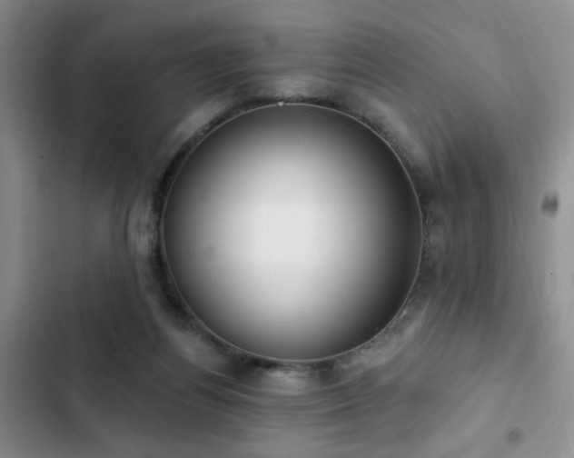 X0000102830164200808181332