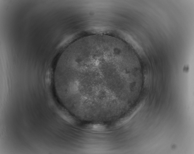 X0000102830165200808181332