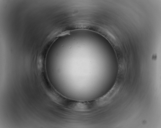 X0000102830166200808181332