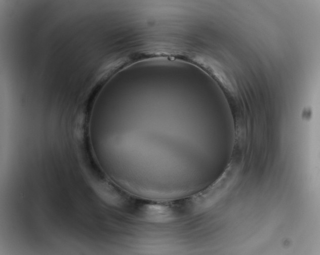 X0000102830167200808181332