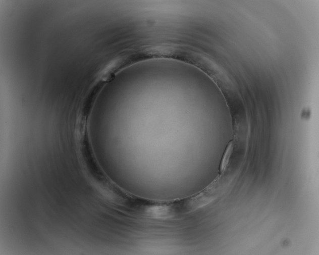 X0000102830168200808181332