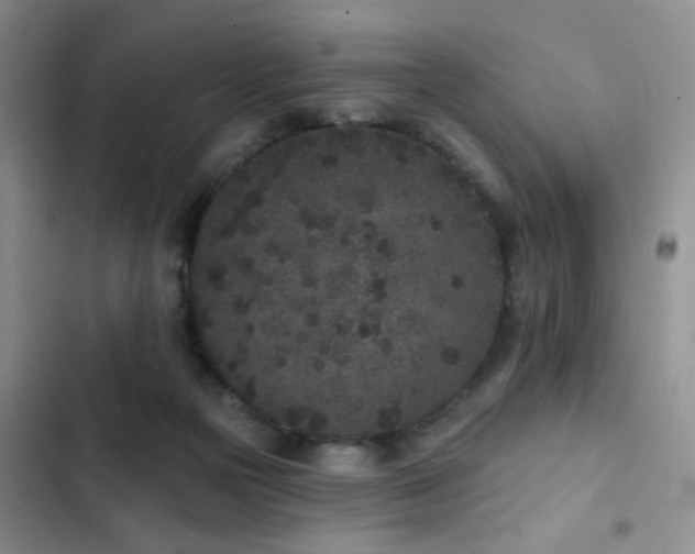 X0000102830169200808181332