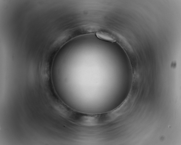 X0000102830170200808181332