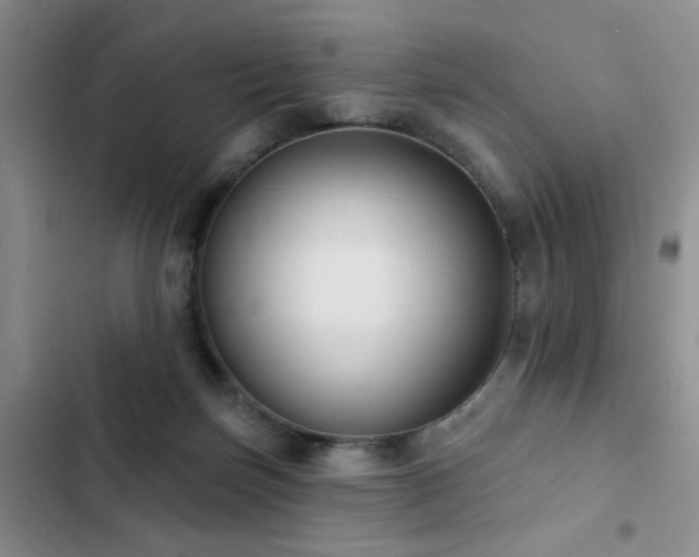 X0000102830171200808181332