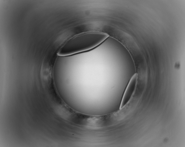 X0000102830172200808181332