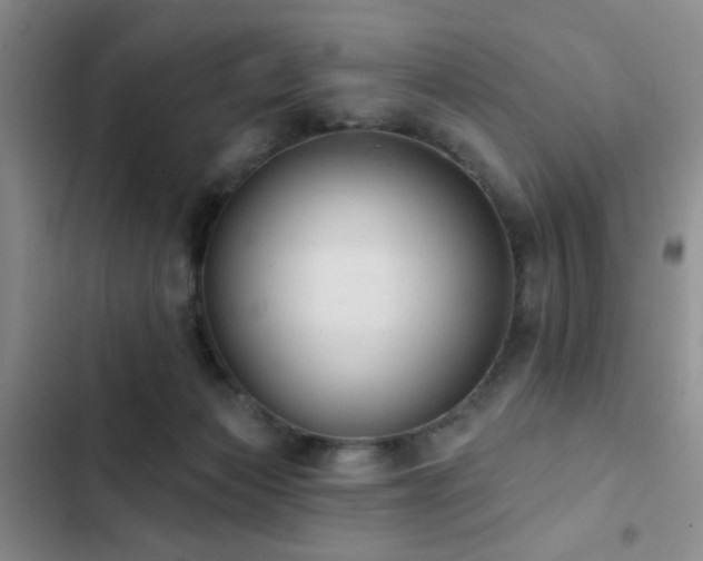 X0000102830173200808181332