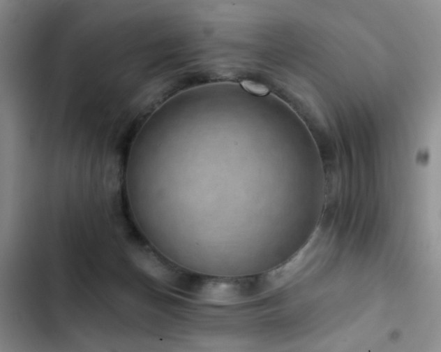 X0000102830174200808181332