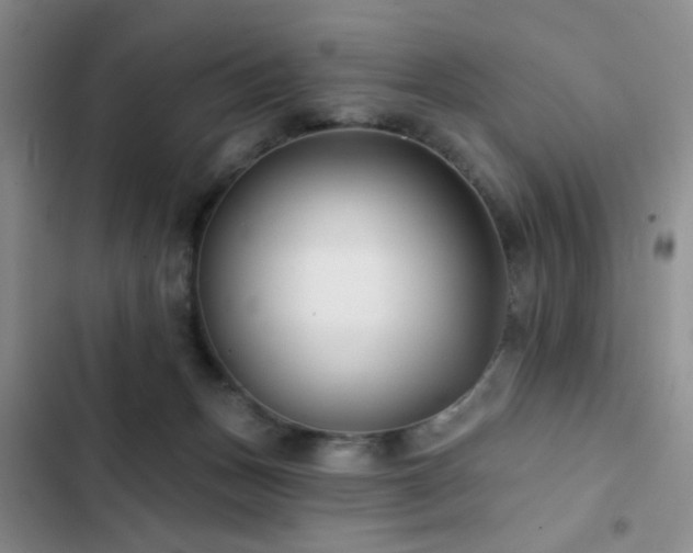 X0000102830175200808181332