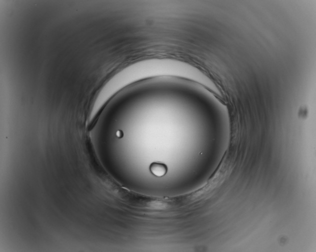 X0000102830176200808181332