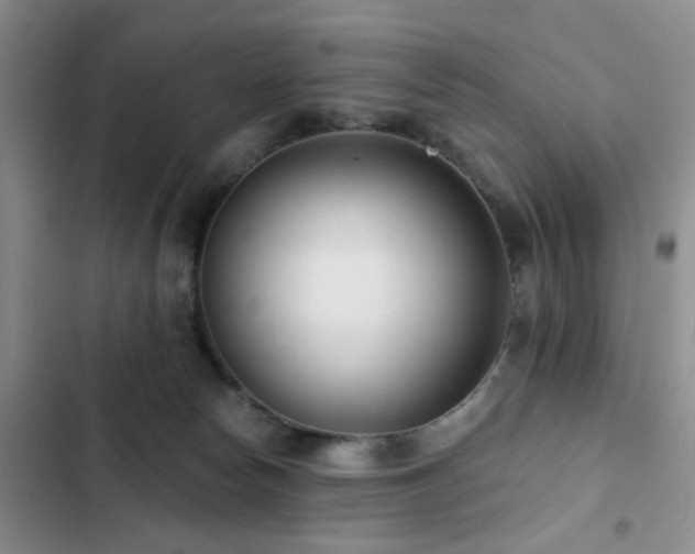 X0000102830178200808181332