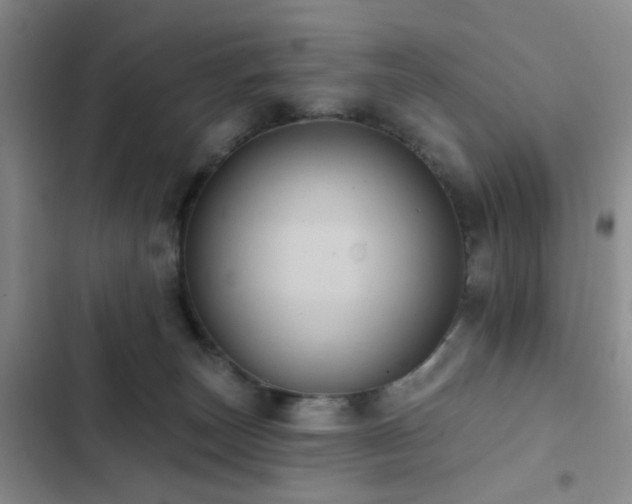 X0000102830179200808181332