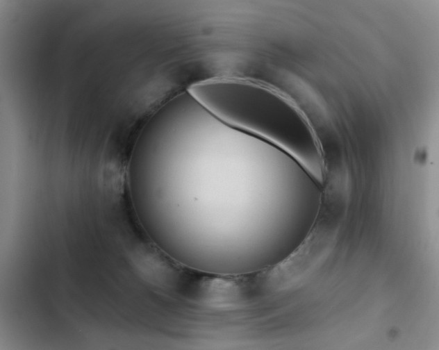 X0000102830180200808181333