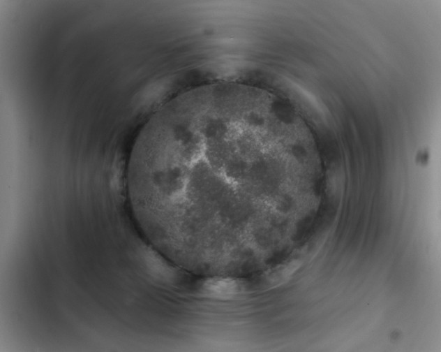 X0000102830181200808181333