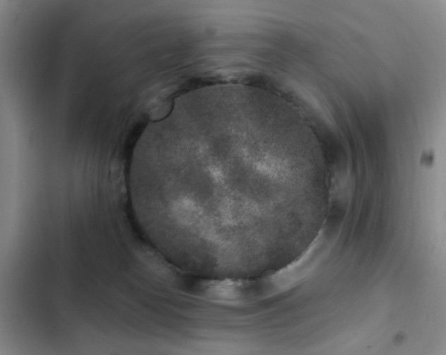 X0000102830182200808181333