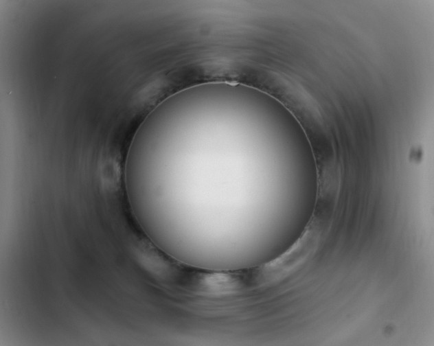 X0000102830183200808181333