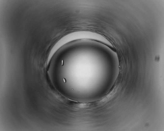 X0000102830184200808181333