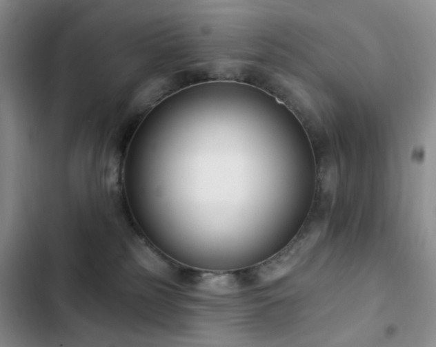 X0000102830185200808181333