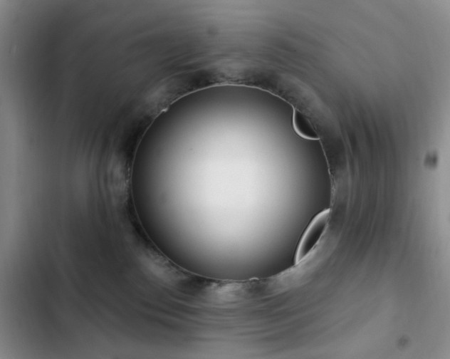 X0000102830186200808181333