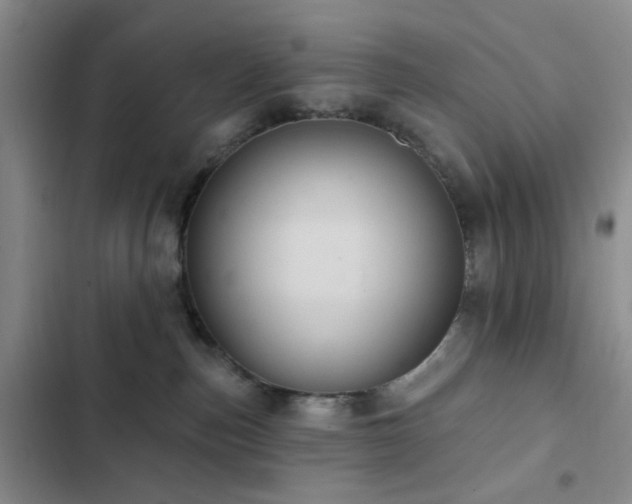 X0000102830187200808181333