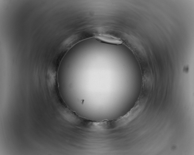 X0000102830188200808181333