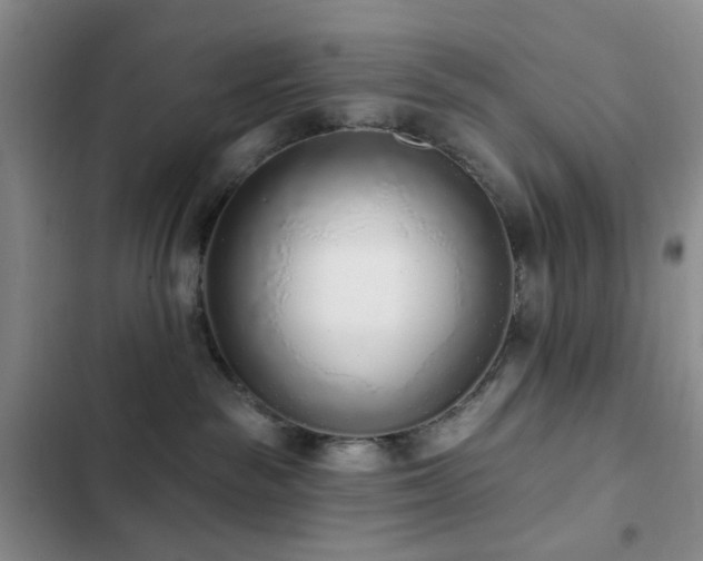 X0000102830189200808181333