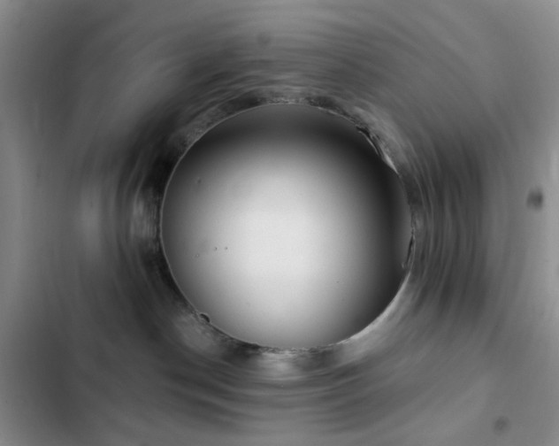 X0000102830190200808181333