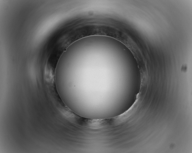 X0000102830191200808181333