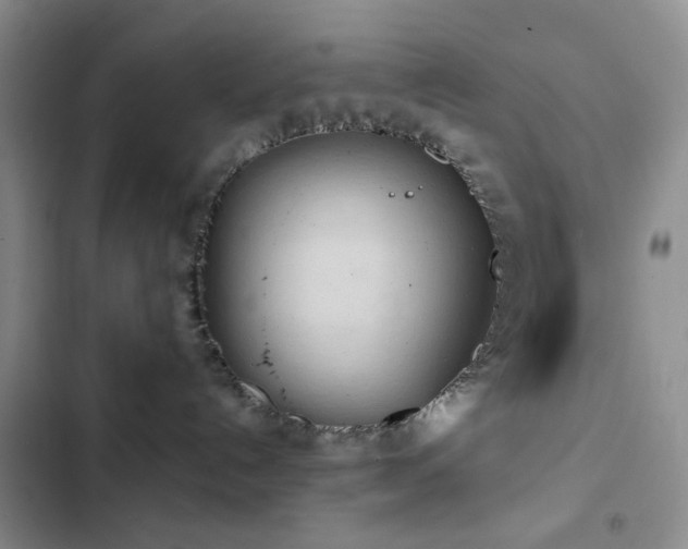 X0000102830192200808181333