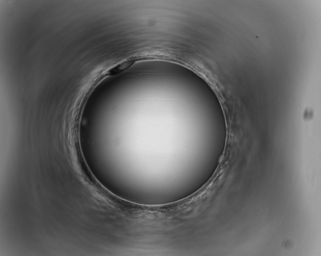 X0000102830193200808181332