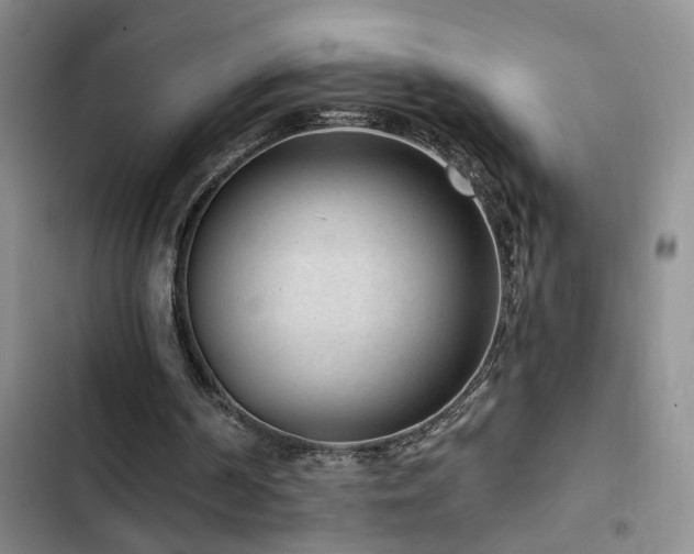 X0000102830194200808181332