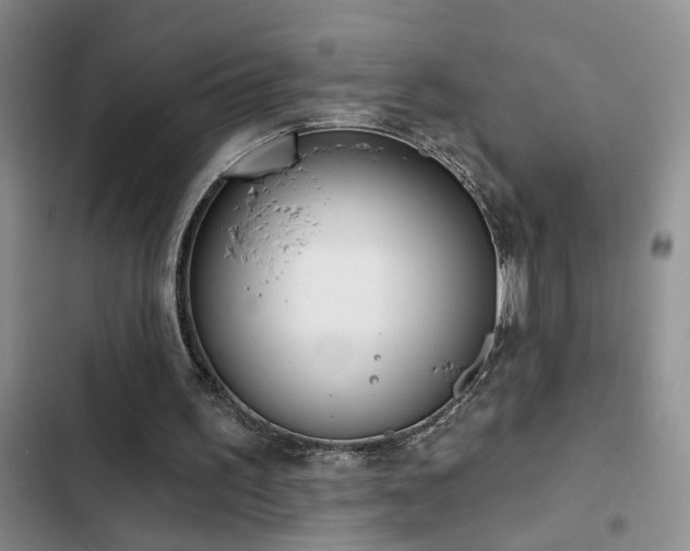 X0000102830195200808181332