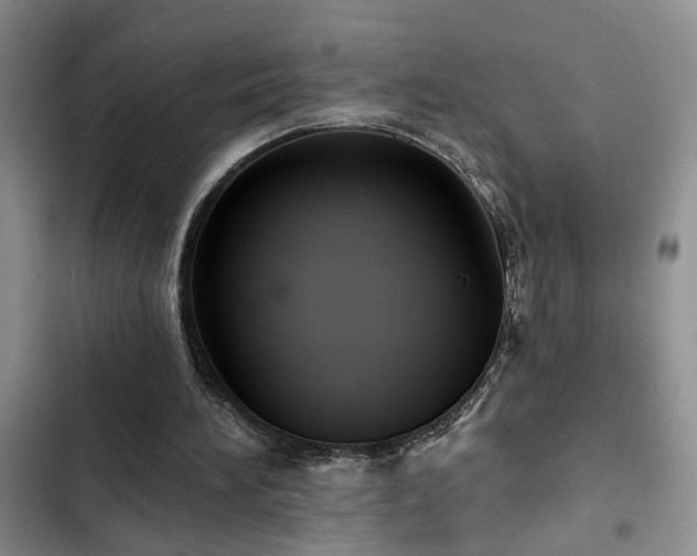 X0000102830196200808181332