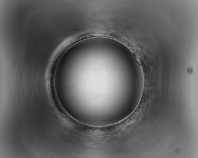 X0000102830197200808181332