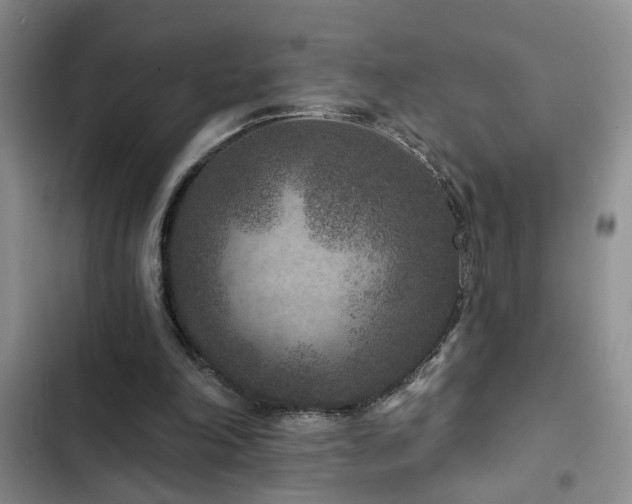 X0000102830198200808181332