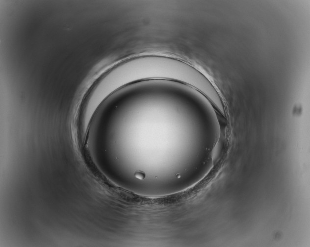 X0000102830199200808181332